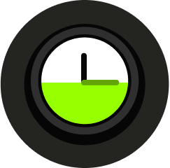 Fast Real-Time Settlement